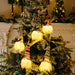 Assorted 2-Piece Light-Up Hanging Widgets DECOR Jessie Knowles